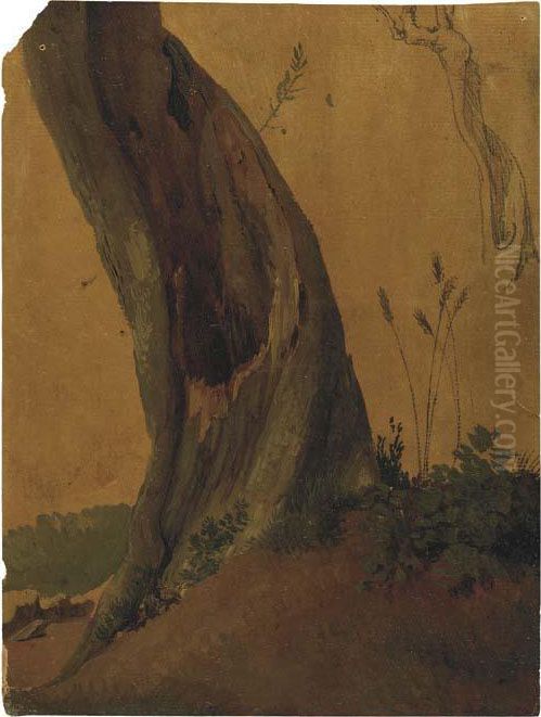 Un Tronc D'olivier, Avec Une Etude Subsidiaire Oil Painting by Simon-Joseph-Alexandre-Clement Denis