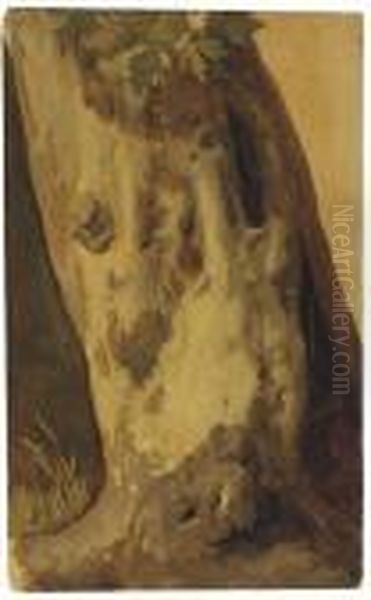 Un Tronc De Platane Oil Painting by Simon-Joseph-Alexandre-Clement Denis