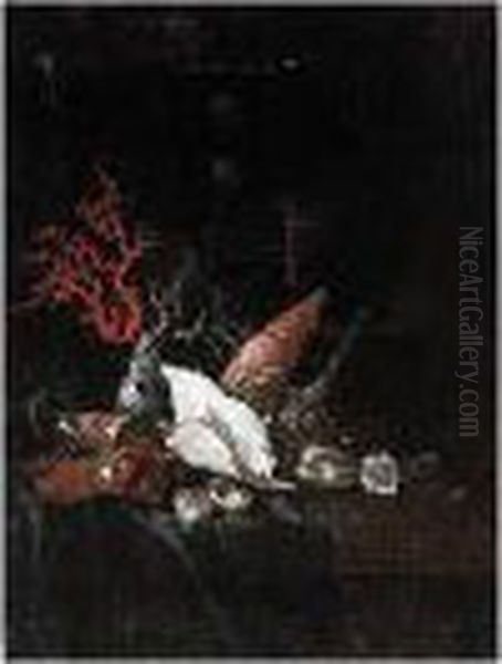 Still Life Of Coral And Sea 
Shells Together With A Jewelry Casket Upon A Partly Draped Stone Ledge Oil Painting by Willem Kalf