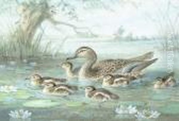 A Cuckoo; Tits Mobbing A Little 
Owl; A Bluetit; A Mallard On The Water With Young; A Blackbird Oil Painting by Johan Gerard Keulemans