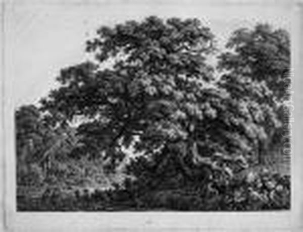 Die Grose Eiche Auf Einer Boschung Oil Painting by Carl Wilhelm Kolbe