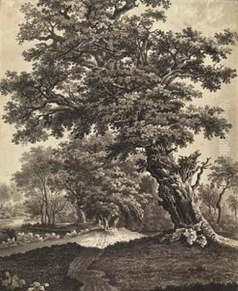 An Old Oak And A Farm House In A Wooded Landscape Oil Painting by Carl Wilhelm Kolbe