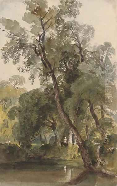 A woodland pond at Badger Dingle, Shropshire Oil Painting by Harriet Cheney