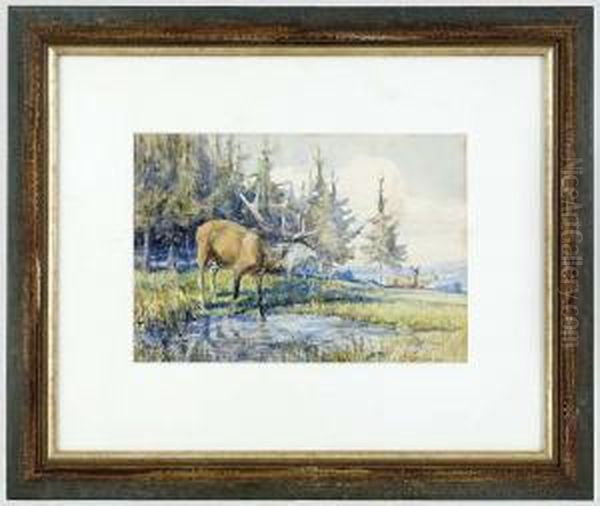 Rotwild An Der Tranke Oil Painting by Christian Johann Kroner