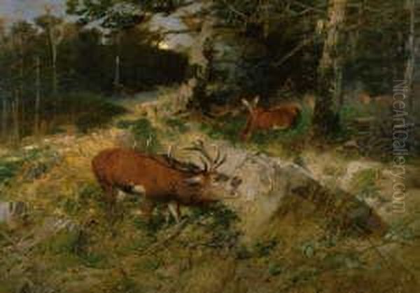 Herbstliche 
Mittelgebirgslandschaft Mit Rohrendem Hirsch. Signiert Und Datiert Unten
 Rechts: Ch. Kroner Dus 95. Ol Auf Leinwand. H 135; B 170 Cm. Oil Painting by Christian Johann Kroner