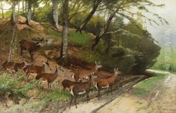 Hirsch Und Hirschkuhe An Einem
 Waldweg. Oil Painting by Christian Johann Kroner