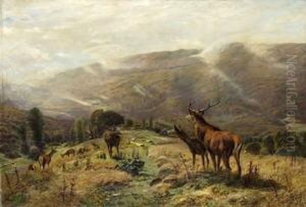 Hochwild In
 Gebirgslandschaft. Oil Painting by Christian Johann Kroner