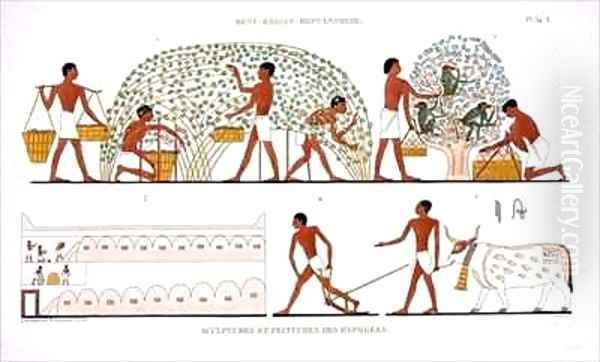 Fruit Picking Oil Painting by Frederic Cailliaud