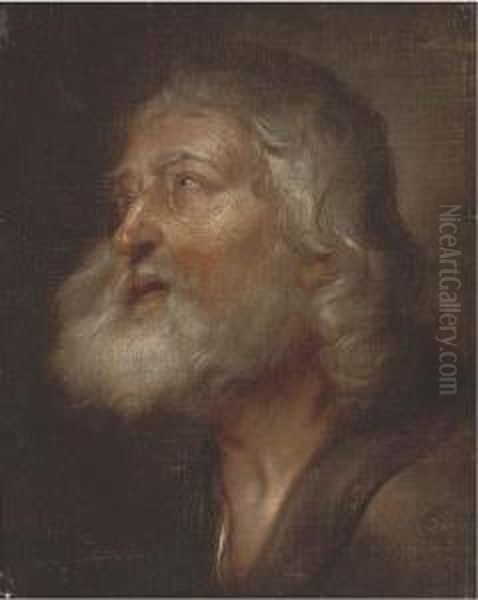 The Head Of A Male Saint Oil Painting by Giovanni Battista Langetti