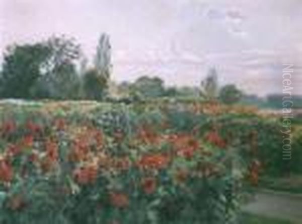 Pole Kwiatow Oil Painting by Kazimierz Lasocki