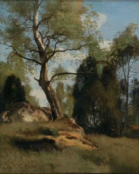  Le Bouleau Du Rocher-besnard, 1870  Oil Painting by Eugene Antoine Samuel Lavieille