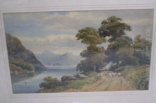 Sheep On A Lakeside Path Oil Painting by Harold Lawes