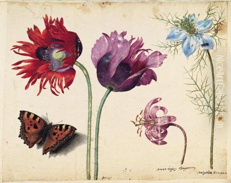 A Sheet Of Flowers: Two Opium 
Poppies, A Lily And A Love-in-a-mist, With A Beetle And A Tortoiseshell 
Butterfly Oil Painting by Jacques le Moyne de Morgues