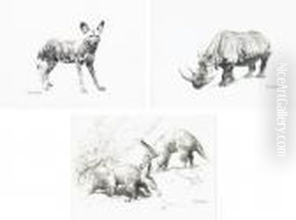 Wild Dog; African Rhinoceros And The Aardvark Oil Painting by William Robinson Leigh