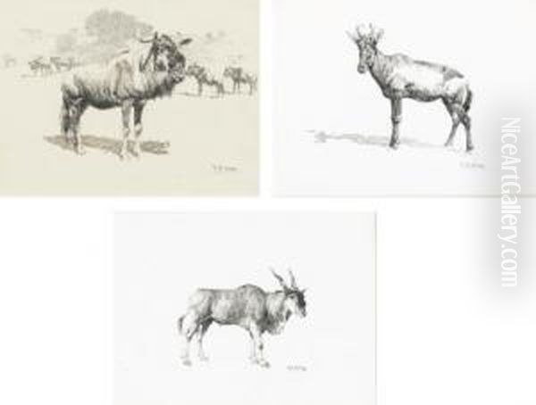 Gnu, Or Wildebeest; Hartebeest Or Kongoni; And Eland Oil Painting by William Robinson Leigh