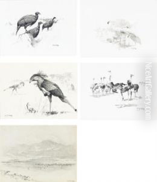 Vulturine Guinea-fowl; Masai 
Ostriches; Secretary Birds; Flamingos At Lake Hannington; And Flamingos Oil Painting by William Robinson Leigh