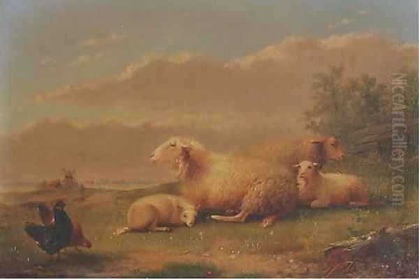 Sheep resting in a meadow Oil Painting by Auguste Coomans