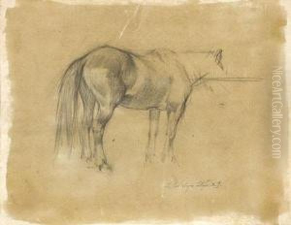 Studio Di Cavallo Oil Painting by Llewelyn Lloyd