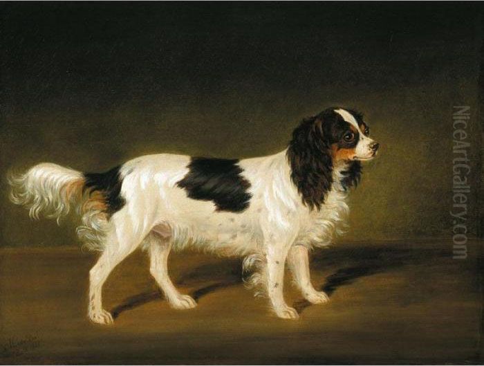 A Tricolour Cavalier King Charles Spaniel Oil Painting by James Loder Of Bath