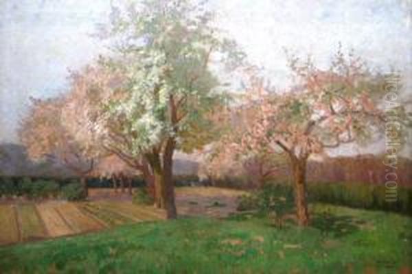 Pomi Infloriti Oil Painting by Kimon Loghi