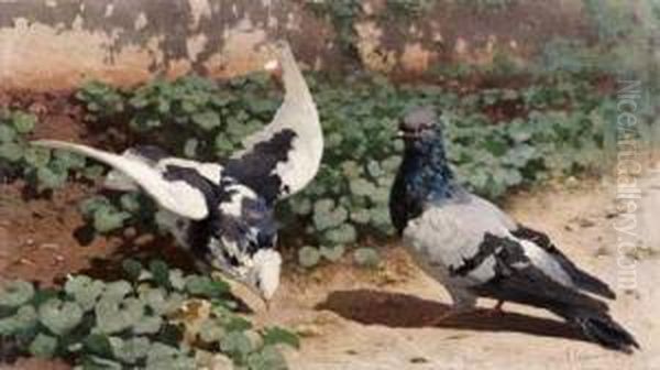 Il Corteggiamento Oil Painting by Francesco Lojacono