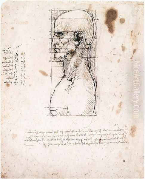 Male head in profile with proportions Oil Painting by Leonardo Da Vinci