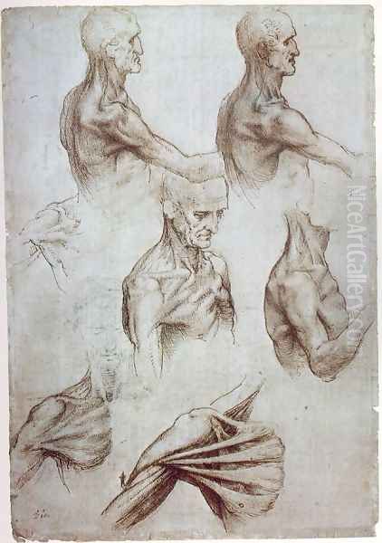 Muscles of the neck and shoulders 1515 Oil Painting by Leonardo Da Vinci