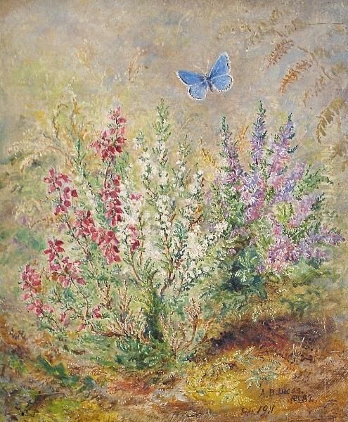 Fire-leaved Heath And Heather, Purple And White, With Adonis Blue Butterfly Oil Painting by Albert Durer Lucas