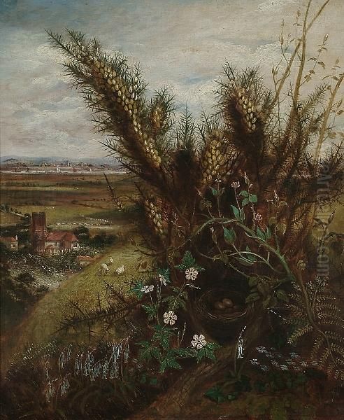 A Still Life Of Wild Flowers And
 A Birds Nest, An Extensive View To A Church And River Beyond Oil Painting by Albert Durer Lucas