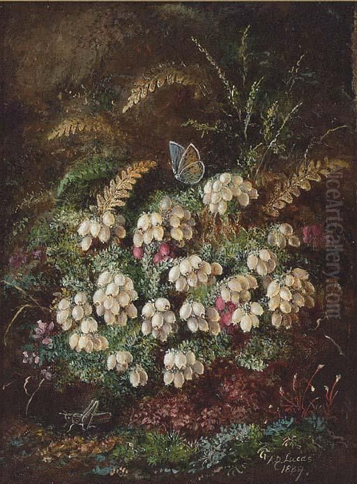 Heather And A Butterfly; And Primulas And Violas Oil Painting by Albert Durer Lucas