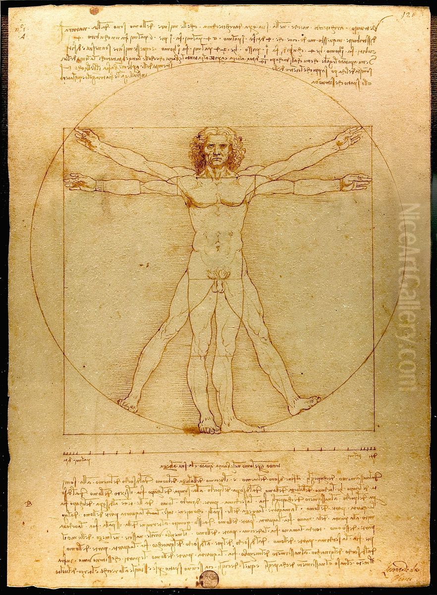 Vitruvian Man Oil Painting by Leonardo Da Vinci