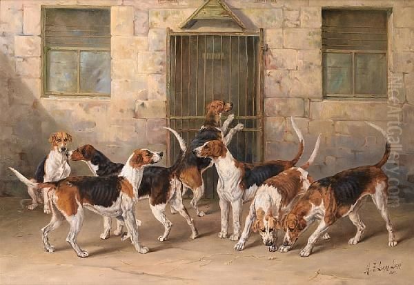 A Group Of Percy Hounds - 
'strangler, Finder, Rifleman, Gainer, Pluto, Doriment, Roman, Hotspur, 
Render, Testy And Greelock' Oil Painting by Henry Frederick Lucas-Lucas