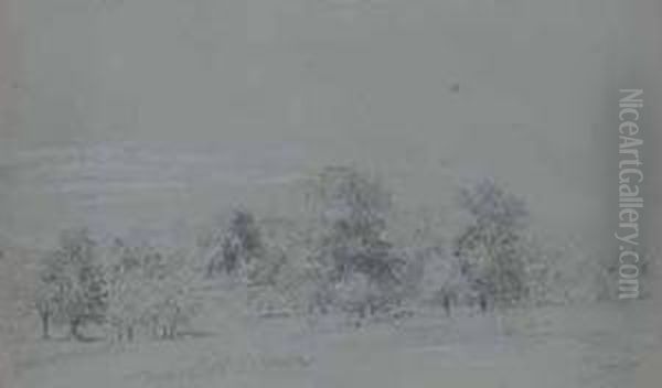 Paisaje Con Arboles Oil Painting by Jose Lupianez y Carrasco