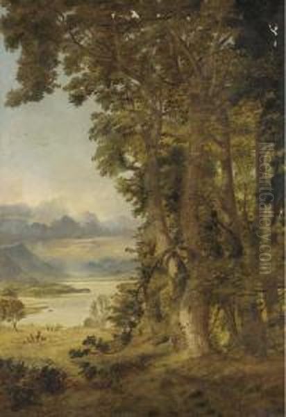 A Distant View Of Bassenthwaite Lake, Cumberland, At The Edge Ofthe Forest Oil Painting by Andrew MacCallum