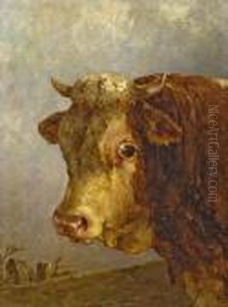 Stier Oil Painting by Edmund Mahlknecht