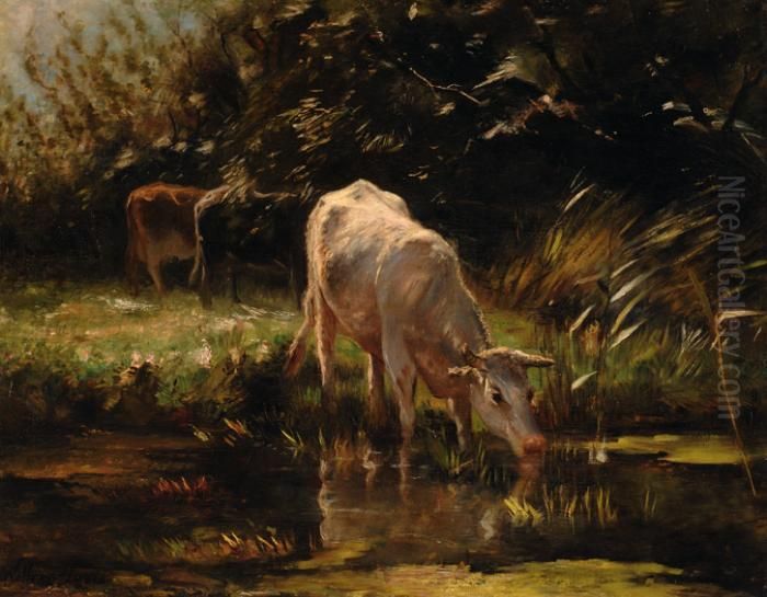 A Calf Drinking From Apond Oil Painting by Willem Maris