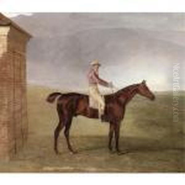 Mr Henry Vansittart's Chestnut Colt 
Burleigh
 With Sam Chifney Up, By The Rubbing-down House At Newmarket Oil Painting by Benjamin Marshall
