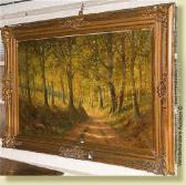 Foret De Soignes Ensoleillee Oil Painting by Henri Mathy