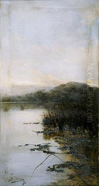 Laguna. Oil Painting by Segundo Matilla