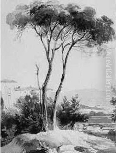 Dessin Original Au Lavis D'encre Brune ; Environ 23 X 18 Cm. (fente
 Reparee ; Encadre). Oil Painting by Prosper Merimee