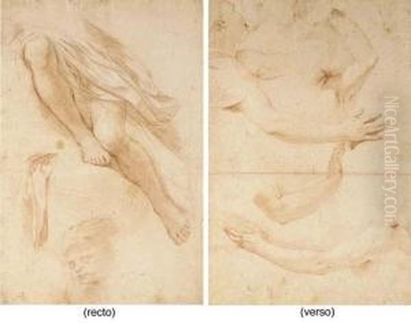 Studies Of Legs, A Drapery And 
The Head Of A Putto (recto); Studies Of Arms And A Head (verso) Oil Painting by Nicolas Mignard