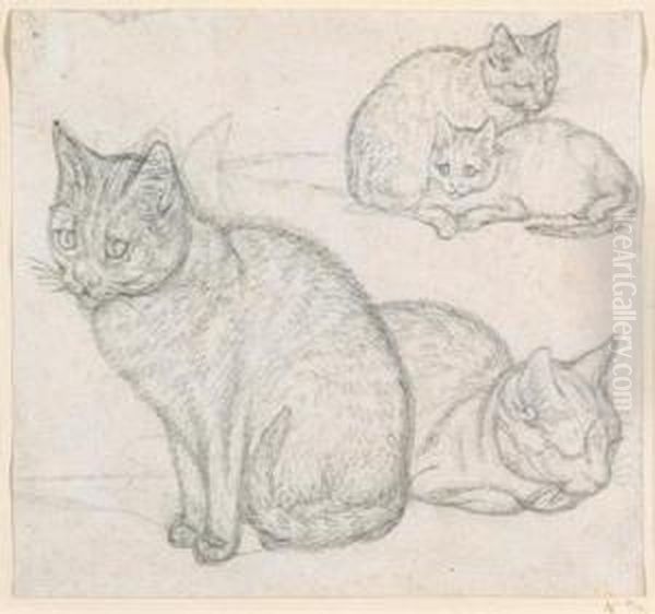A Double Sketch Of Two Cats Oil Painting by Gottfried Mind or Mindt