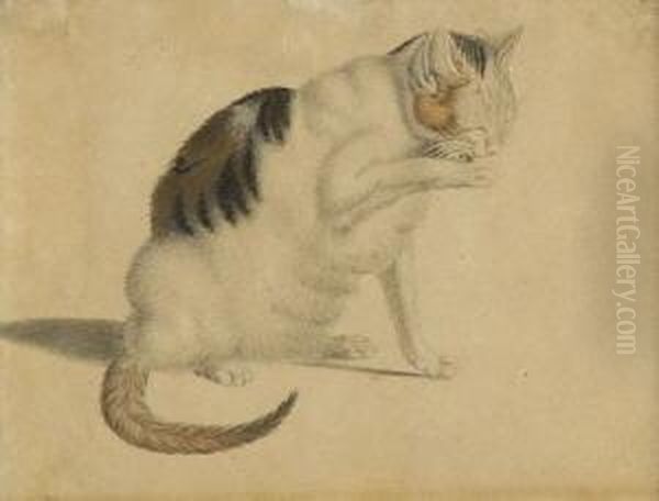 Katzenwasche. Oil Painting by Gottfried Mind or Mindt