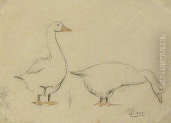 Ocas. Oil Painting by Joaquim Mir