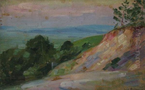 Peisaj Oil Painting by Paul Molda