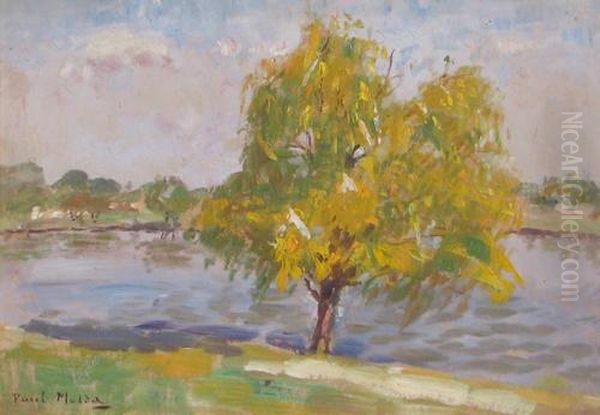Tree At The Border Of The Water Oil Painting by Paul Molda