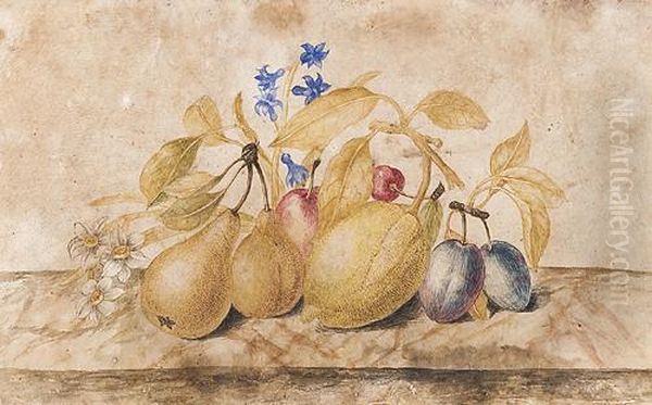 Susine, Ciliege, Pere Ealtri Frutti Su Un Piano Di Pietra Oil Painting by Octavianus Montfort