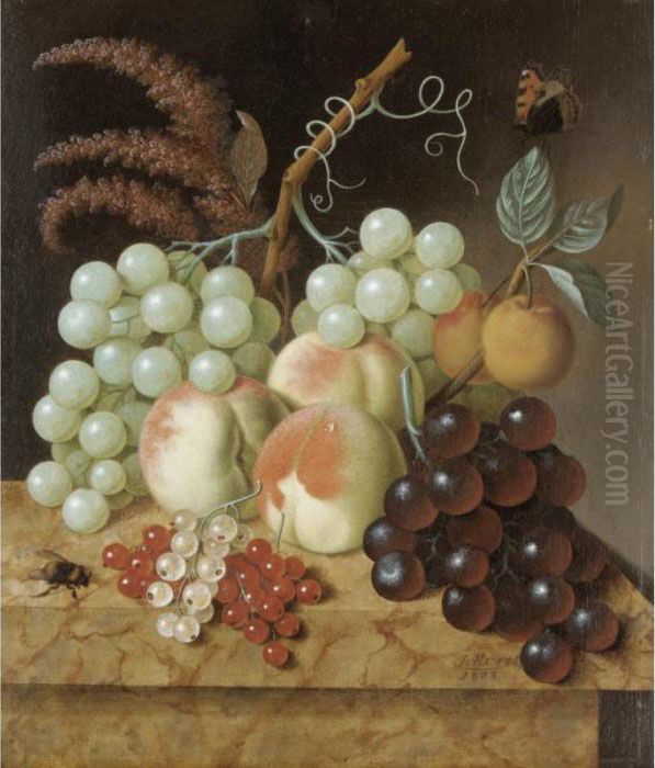 Still Life With Peaches, 
Apricots, Grapes, Berries, A Fly And A Butterfly On A Marble Ledge Oil Painting by Jan Evert Morel