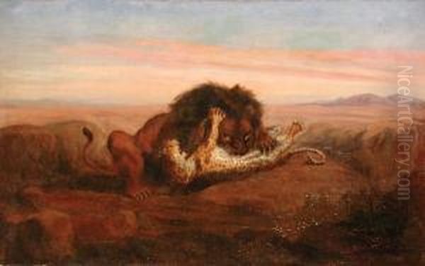 Il Leone
Assale Il Leopardo Oil Painting by Mario Moretti Foggia