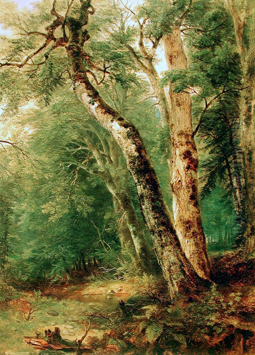 Woodland Interior Oil Painting by Asher Brown Durand